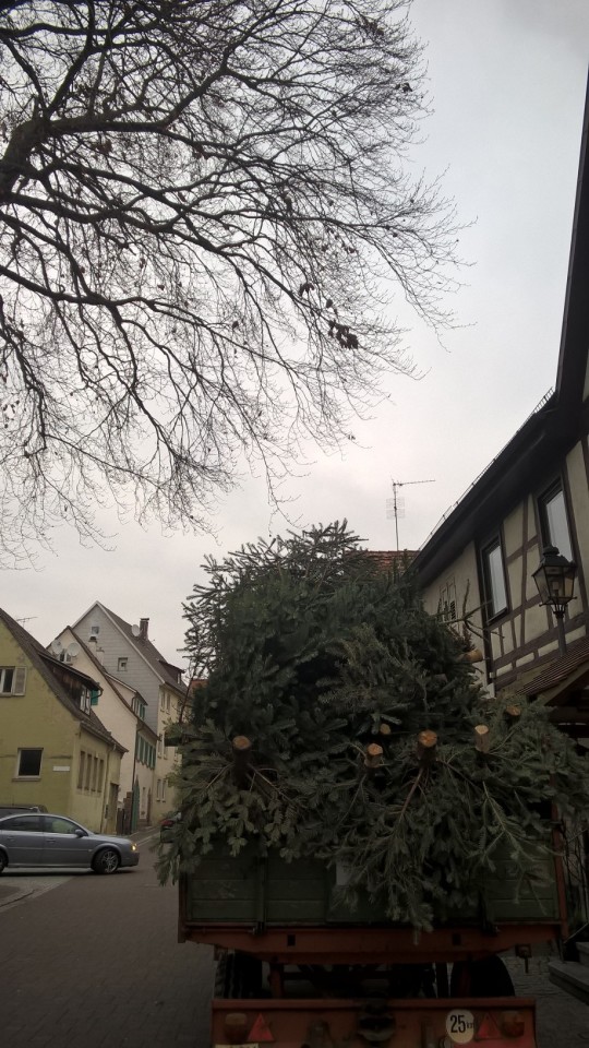 WP_20180113_14_37_35_Pro